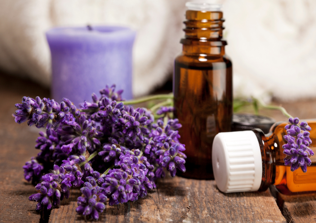 Lavender Aromatherapy Oil